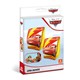 MANGUITOS CARS 23X15 CM