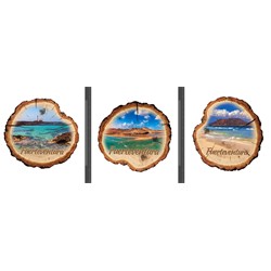 IMAN TRONCO FUERTEVENTURA 7cm